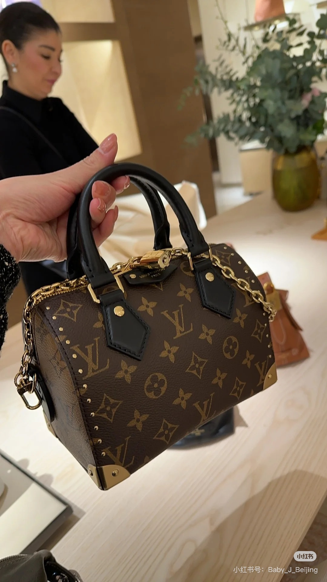 Lv small pillow bag - 图片 4