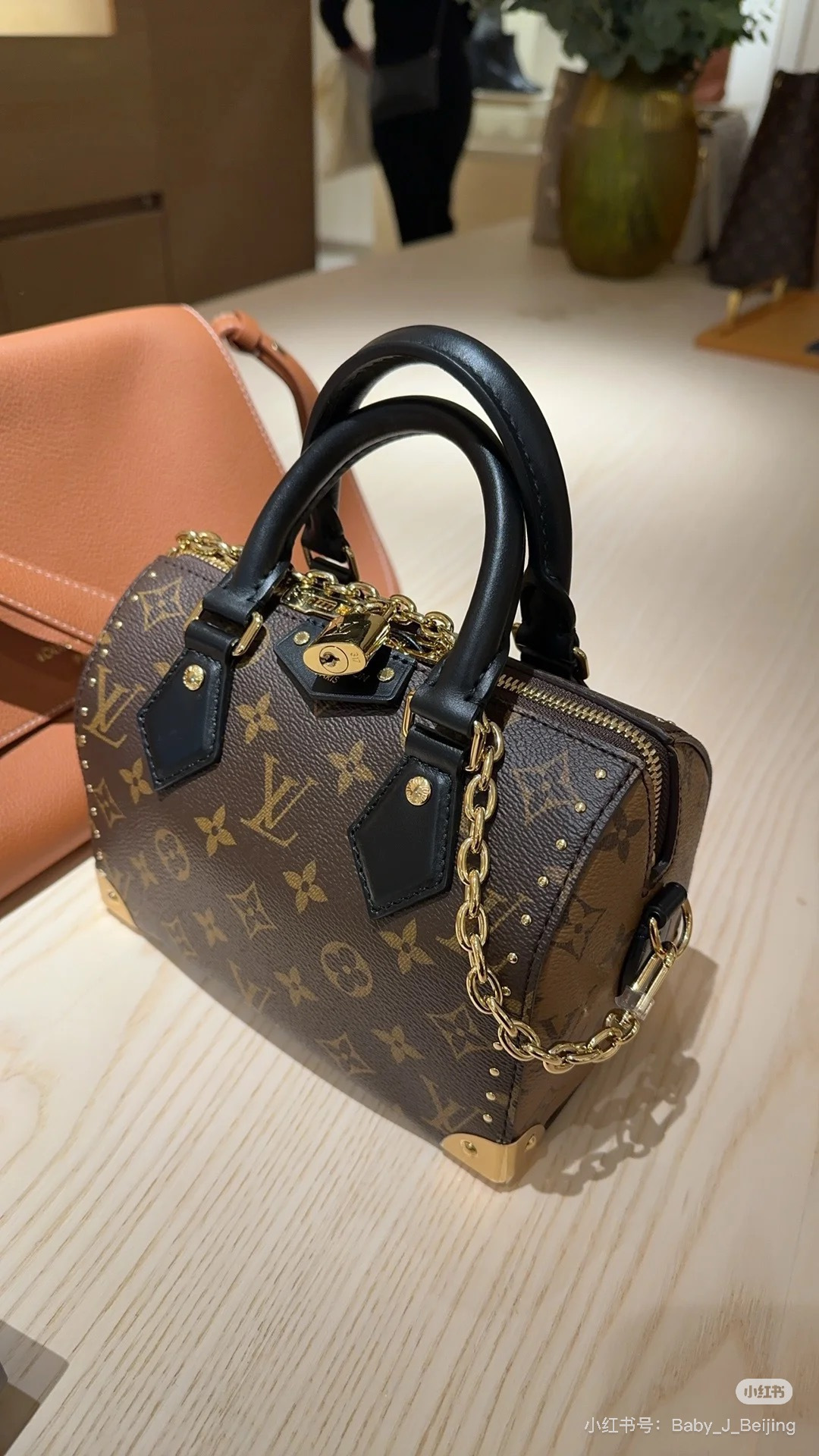 Lv small pillow bag - 图片 3