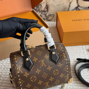 Lv small pillow bag