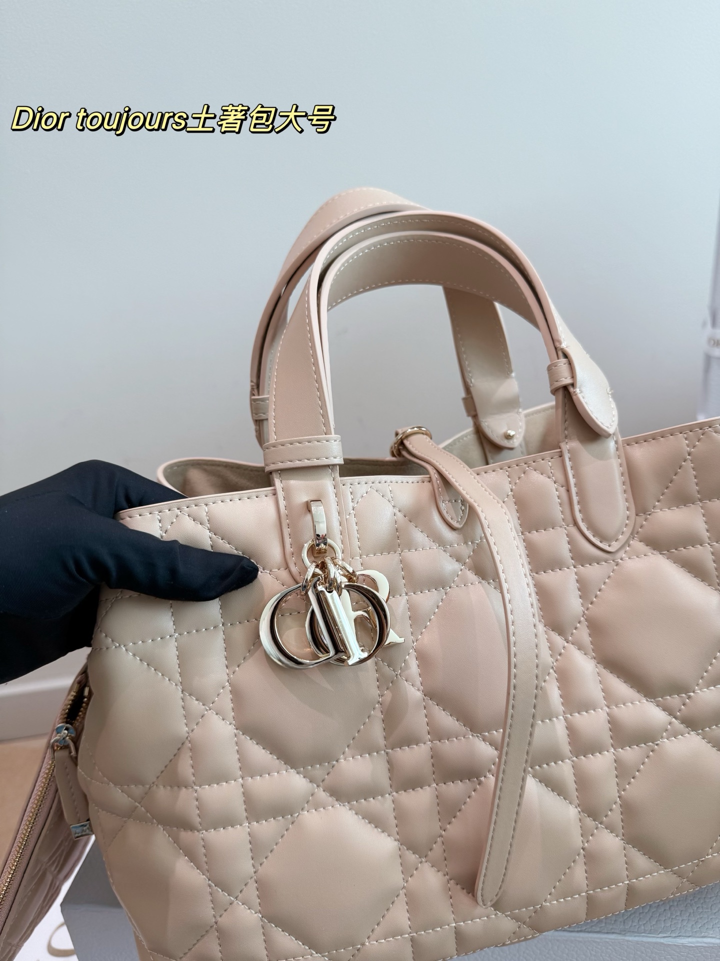 Dior Toujours - 图片 5